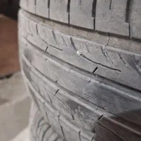 لاستیک گلدستون تارا