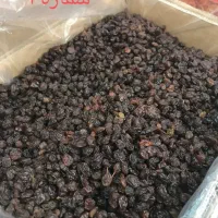 کشمش|عمده‌فروشی|بهارستان, |دیوار