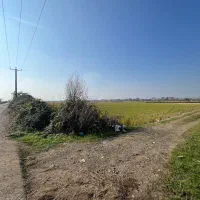 5000مترزمین-کشاورزی-سندتک-برگ-براصلی-نزدیک-کمربندی