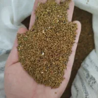 تخم یونجه|خدمات باغبانی و درختکاری|جنت, |دیوار