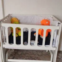 تخت و گهواره  نوزاد|تخت و سرویس خواب|هشتگرد, ینگی امام|دیوار