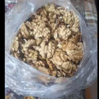 گردو بوانات|خوردنی و آشامیدنی|شیراز, سعدیه جنوبی|دیوار