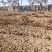 فروش باغ 400 متری در گلدشت قلعه سفید