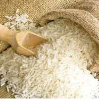 برنج دم سیاه|خوردنی و آشامیدنی|آزادشهر, |دیوار