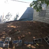 کود حیوانی گاوی