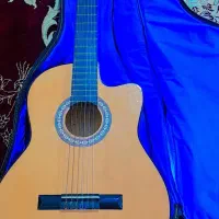 گیتار با قیمت مناسب|گیتار، بیس، امپلیفایر|شادمهر, |دیوار