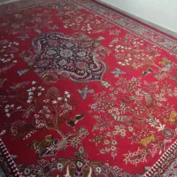 فرش|فرش|دامغان, |دیوار