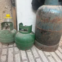 دو عدد پیک نیک و یک عدد کپسول