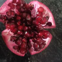 انار دونه مشکی