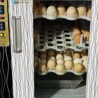 دستگاه جوجه کشی126تایی جام طیور