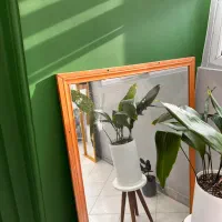 آینه قدی دو عدد