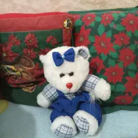 عروسک|اسباب‌بازی بچه|زاهدان, |دیوار