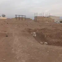 زمین تلوری گلهای ۲