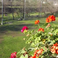 رهن و اجاره ویلا مبله در ماکلوان جاده ماسوله|اجارهٔ خانه و ویلا|ماکلوان, |دیوار