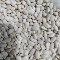 لوبیا محلی|خوردنی و آشامیدنی|هرسین, |دیوار