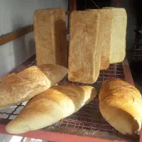 کارگر ساده برای نان فانتزی