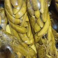خیارشور|خوردنی و آشامیدنی|شیراز, گلدشت معالی‌آباد|دیوار