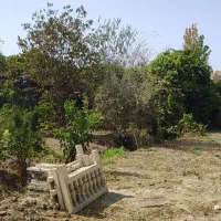 200متر-باغچه-قلفتی-صالح-آباد-قرچک