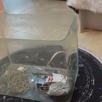 آکواریوم شیشه خم|ماهی|دورود, |دیوار