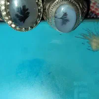 دوجفت انگشتر شجر|جواهرات|پیشوا, |دیوار