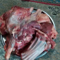 گوشت بزغاله