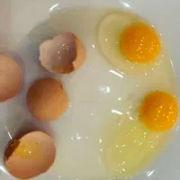 تخم مرغ بومی اصل