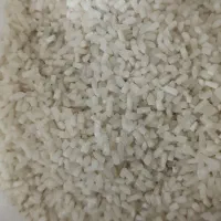 برنج هاشمی|خوردنی و آشامیدنی|رشت, پل تالشان|دیوار