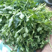 سبزی تازه - کلی - جزیی