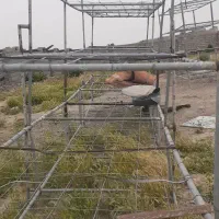 طبقات گانوانیزه تولید قارچ|ماشینآلات صنعتی|فولادشهر, B5|دیوار