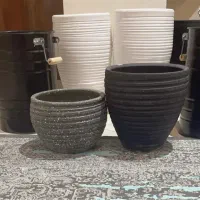 گلدان|گل و گیاه طبیعی|تهران, پونک|دیوار