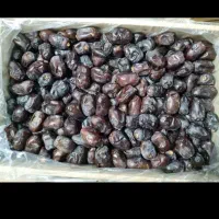 خرمای مضافتی|خوردنی و آشامیدنی|بم, |دیوار