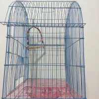 قفس بزرگ طوطی