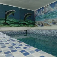 باغ ویلا اجاریی سونا استخراب گرم مجهز. ب والیبال|اجارهٔ کوتاه‌مدت ویلا و باغ|مشهد, دهشک|دیوار