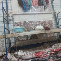 قالی 800تایی پنبه ای نه لایه فقط نقد ی