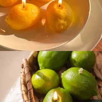 شمع - شمع یلدا - شمع دکوراتیو|صنایع دستی و سایر لوازم تزئینی|تهران, فردوس|دیوار