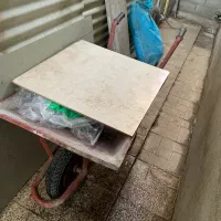 فرغون در حد نو