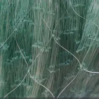 وینچ گرگوری و تور