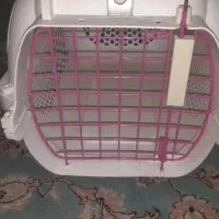 سبد حیوانات|لوازم جانبی حیوانات|مشهد, چهارچشمه|دیوار