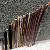 عصا و چوب دستی کوهنوردی