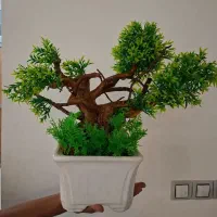 گل مصنوعی|گل مصنوعی|شیراز, صاحب الزمان|دیوار
