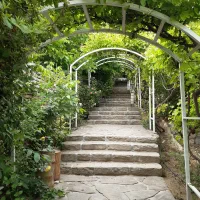 سوئیت نقلی در باغ زیبا