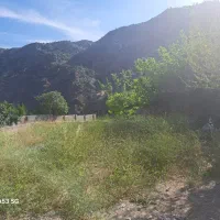 فروش ملک سردسیری درمانگاه دلفارد۶۳قصب دوکله|فروش خانه و ویلا|درب بهشت, |دیوار