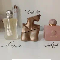 دکانت عطر / مناسب گیفت عروسی و هدیه عید / عمده تک