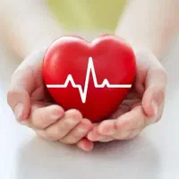 یاد بگیر بهتر زندگی کن