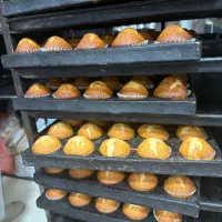 نیازمند فروشنده