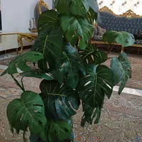 برگ انجیری مصنوعی