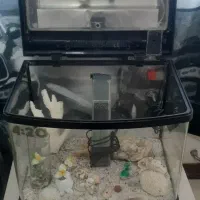 آکواریوم مشکی