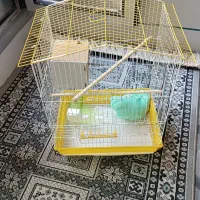 قفس پرنده بزرگ نو