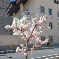 اجاره آپارتمان ویلایی رودهن