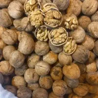 عسل انجیر گردو  بادام آلو (تناژ بالا) عمده و جزئی